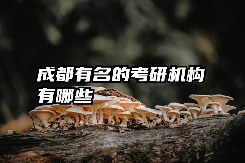 成都有名的考研机构有哪些