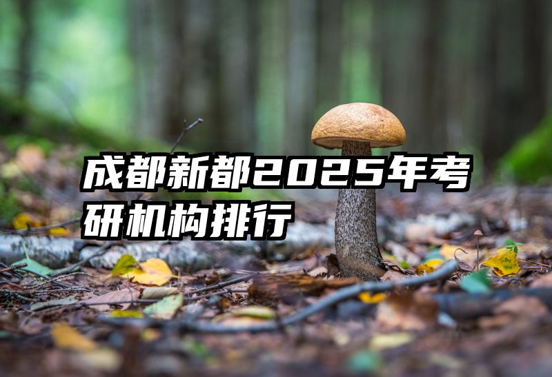 成都新都2025年考研机构排行