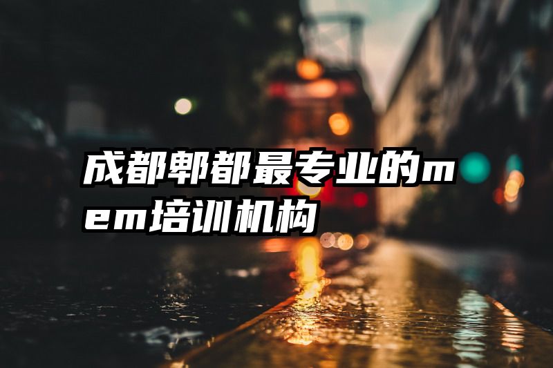 成都郫都最专业的mem培训机构