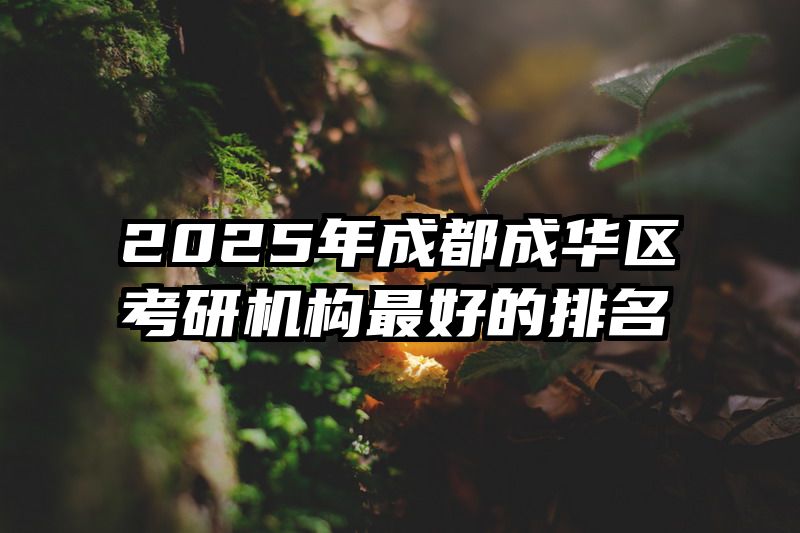 2025年成都成华区考研机构最好的排名