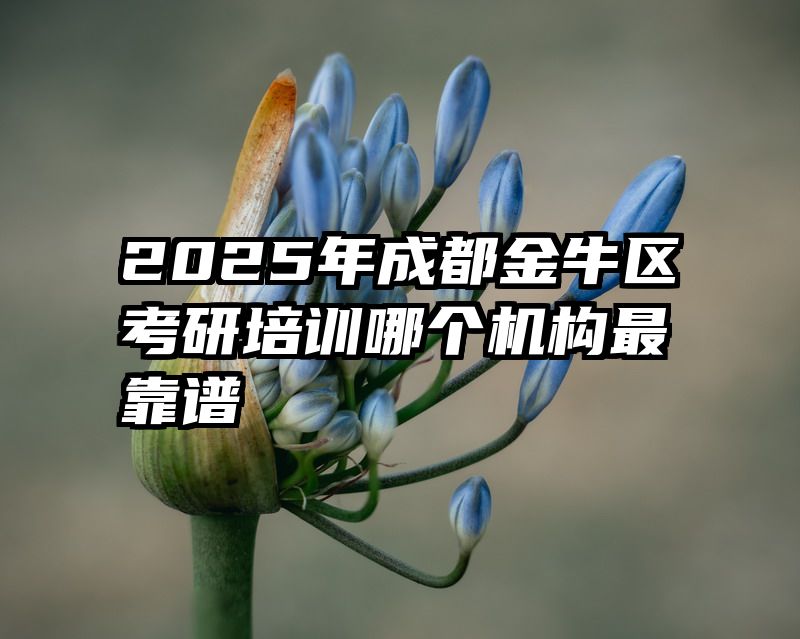 2025年成都金牛区考研培训哪个机构最靠谱