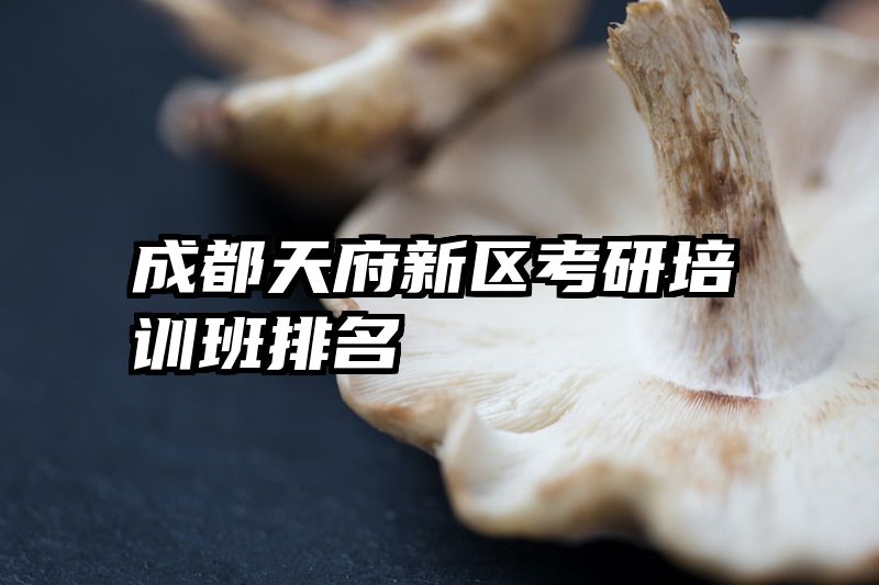 成都天府新区考研培训班排名