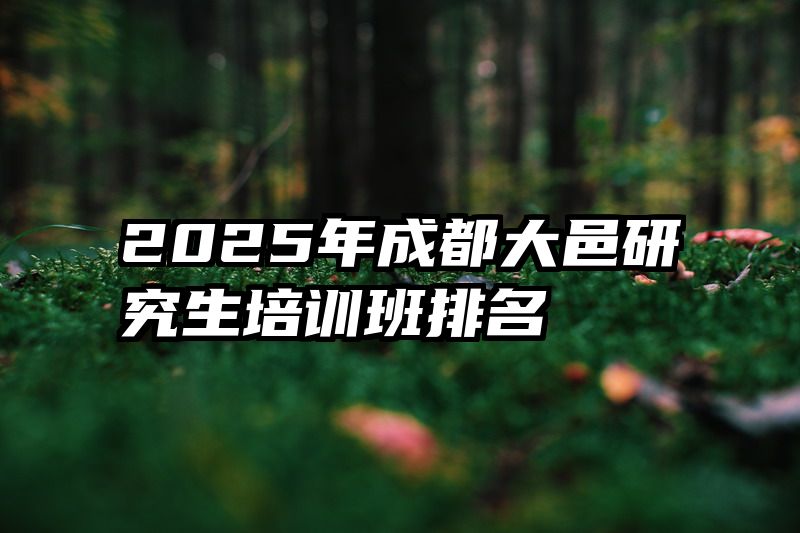 2025年成都大邑研究生培训班排名