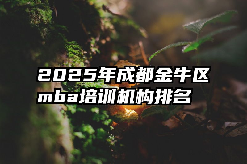 2025年成都金牛区mba培训机构排名