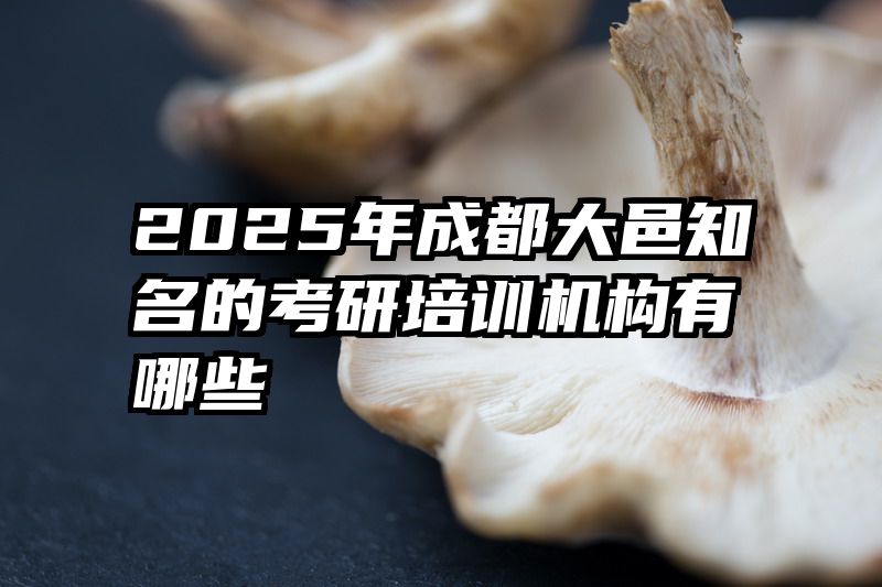 2025年成都大邑知名的考研培训机构有哪些