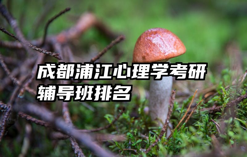 成都浦江心理学考研辅导班排名