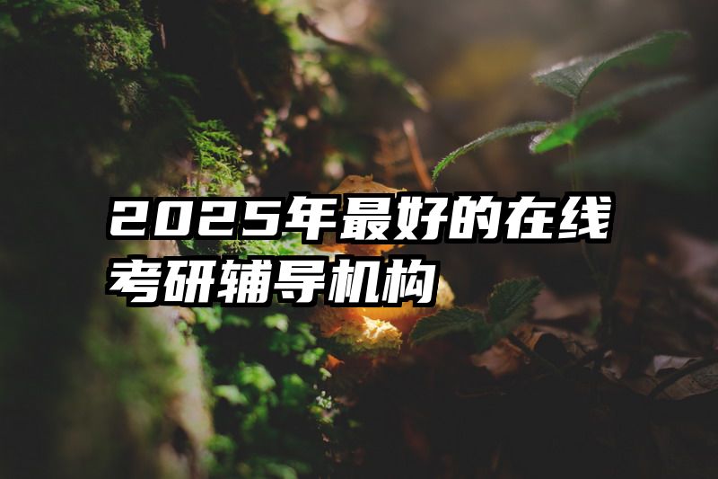 2025年最好的在线考研辅导机构