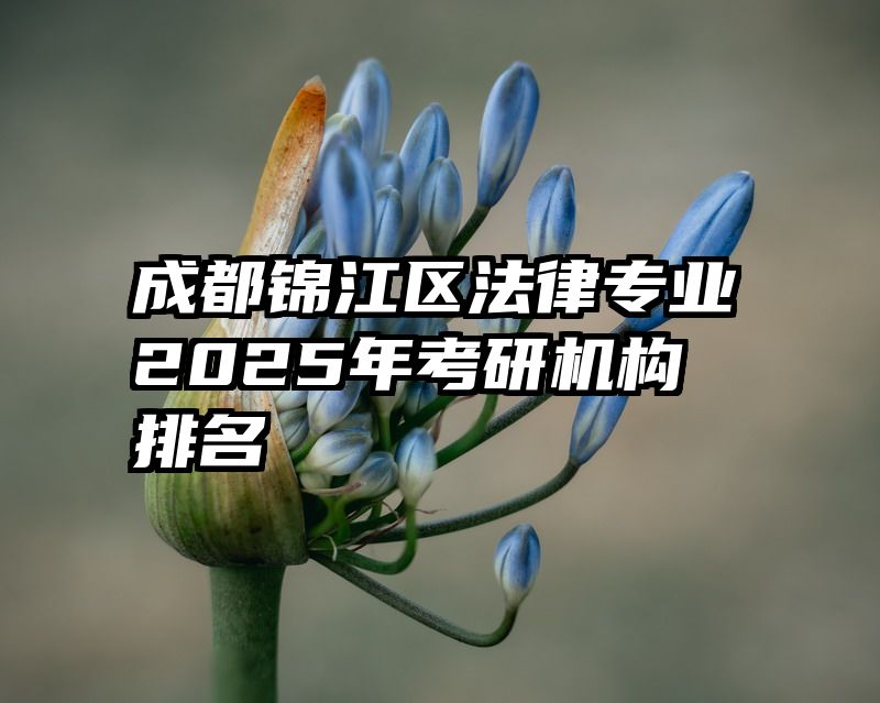 成都锦江区法律专业2025年考研机构排名