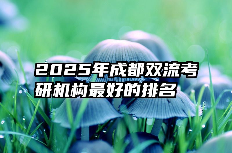 2025年成都双流考研机构最好的排名