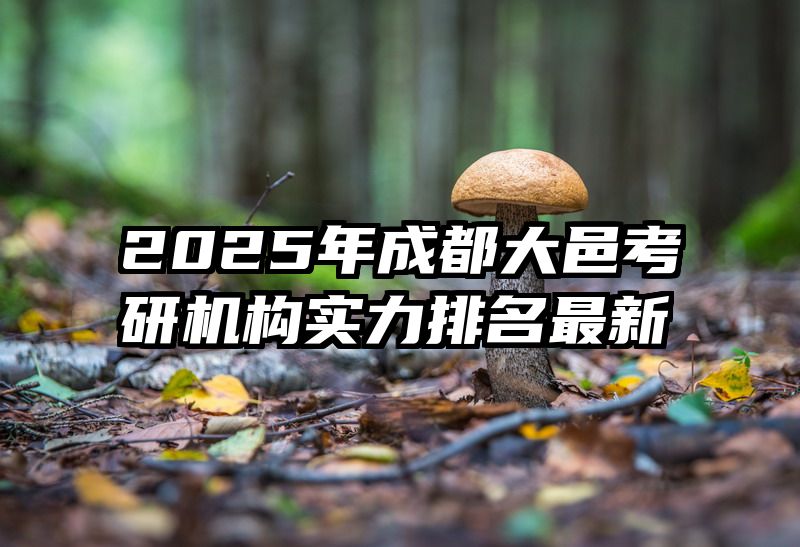 2025年成都大邑考研机构实力排名最新