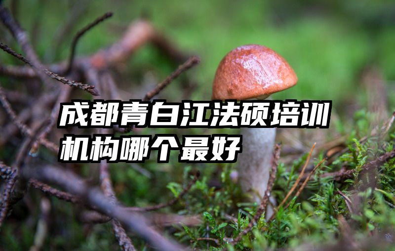 成都青白江法硕培训机构哪个最好