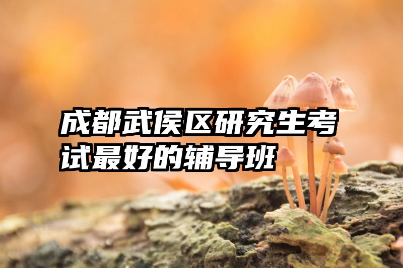 成都武侯区研究生考试最好的辅导班