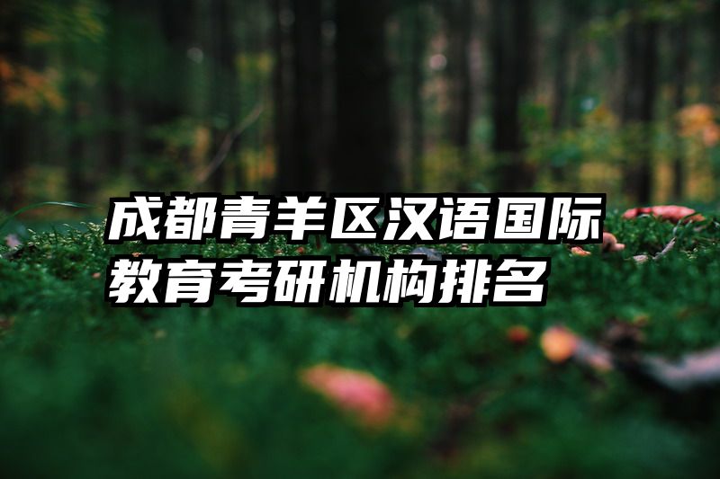 成都青羊区汉语国际教育考研机构排名