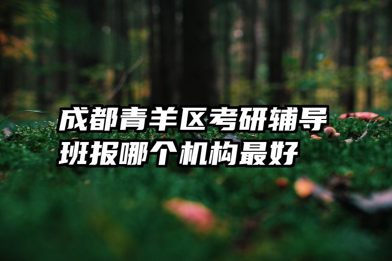 成都青羊区考研辅导班报哪个机构最好