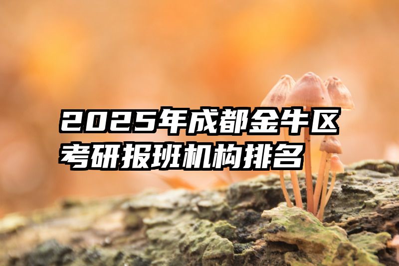 2025年成都金牛区考研报班机构排名