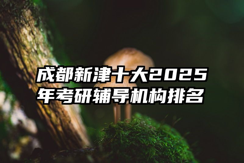 成都新津十大2025年考研辅导机构排名
