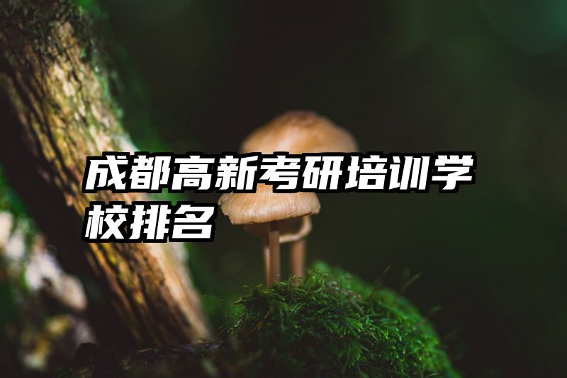 成都高新考研培训学校排名