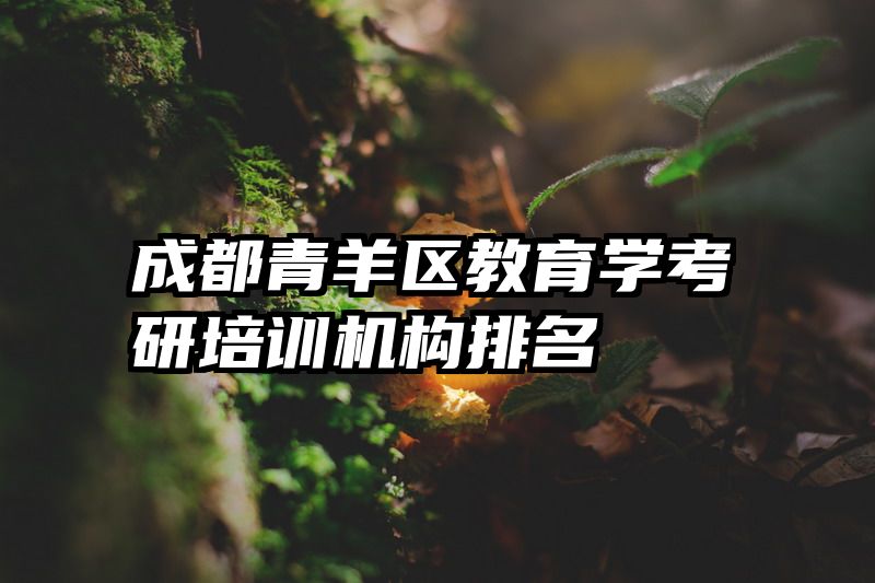 成都青羊区教育学考研培训机构排名