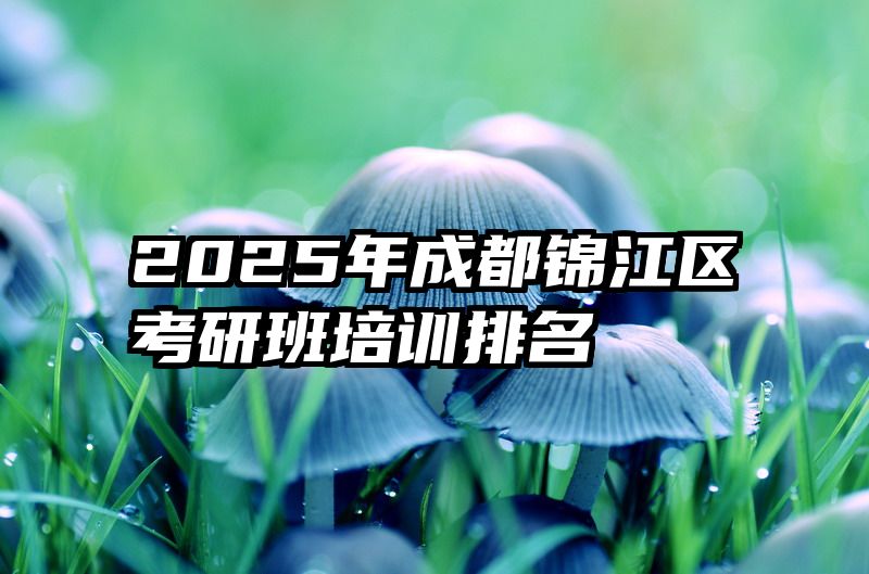 2025年成都锦江区考研班培训排名