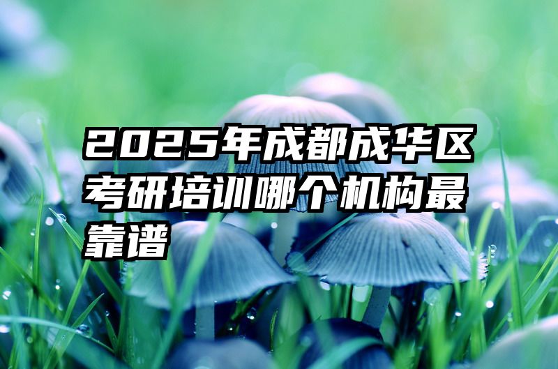 2025年成都成华区考研培训哪个机构最靠谱