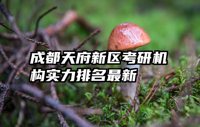 成都天府新区考研机构实力排名最新