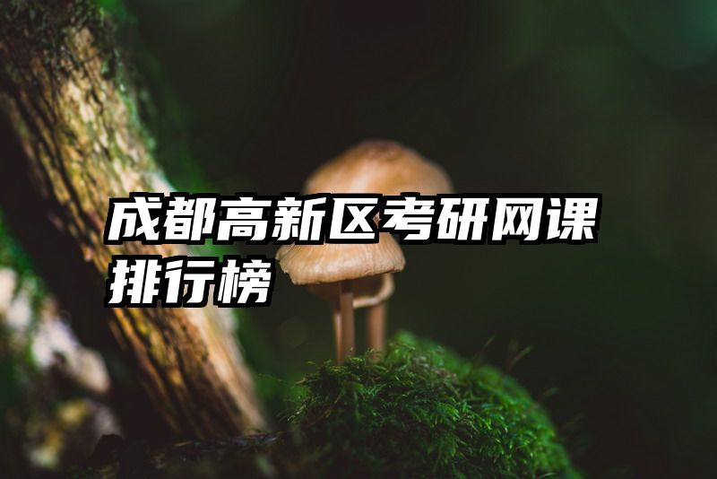成都高新区考研网课排行榜