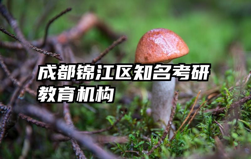 成都锦江区知名考研教育机构