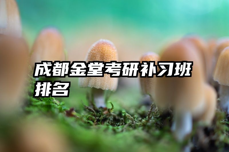 成都金堂考研补习班排名