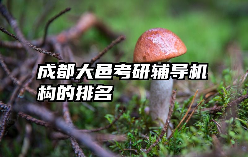 成都大邑考研辅导机构的排名
