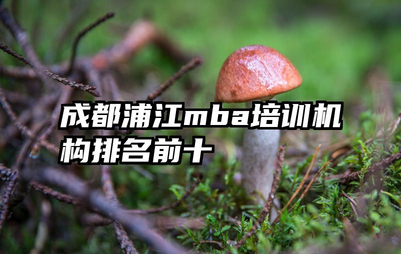 成都浦江mba培训机构排名前十