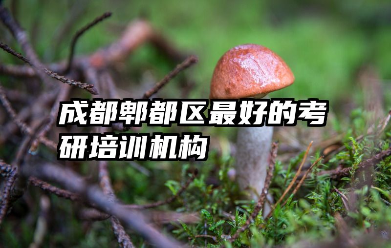 成都郫都区最好的考研培训机构