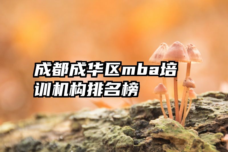 成都成华区mba培训机构排名榜