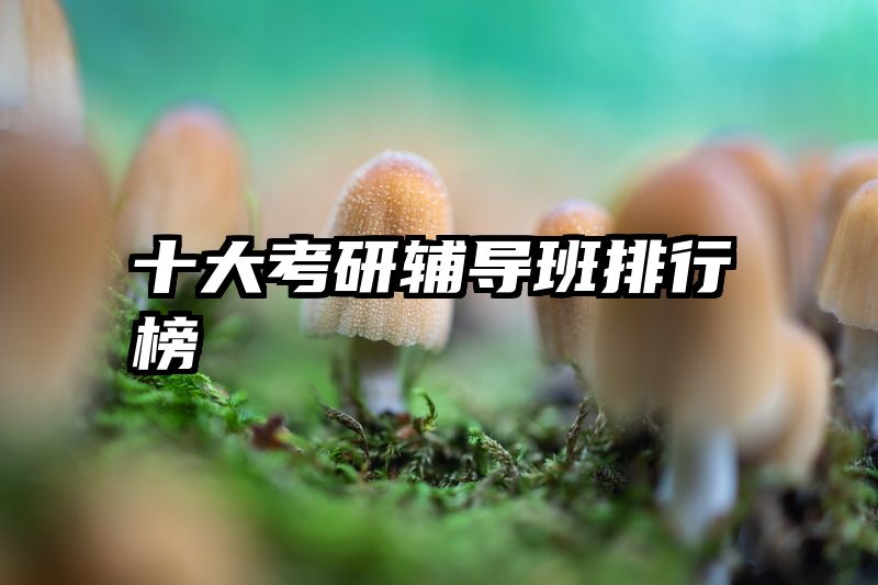 十大考研辅导班排行榜