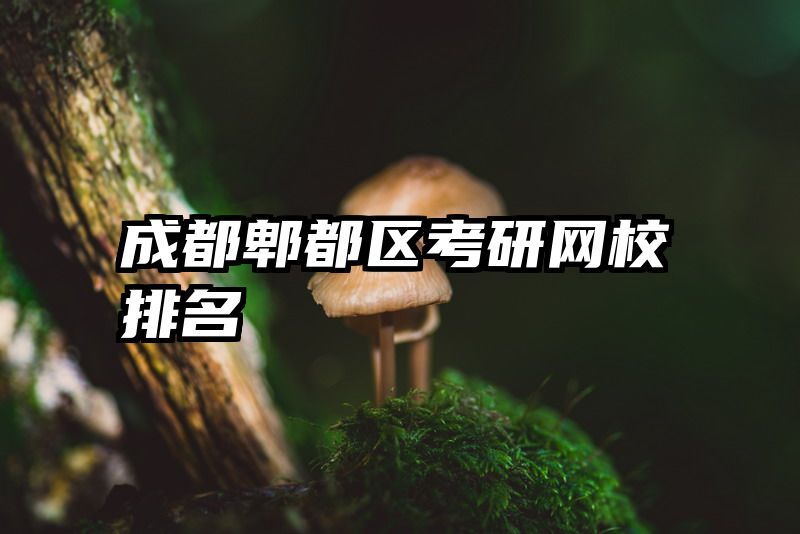 成都郫都区考研网校排名