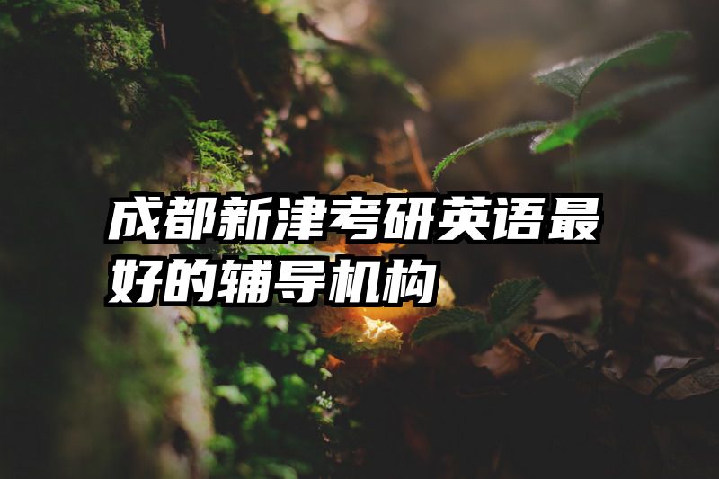 成都新津考研英语最好的辅导机构