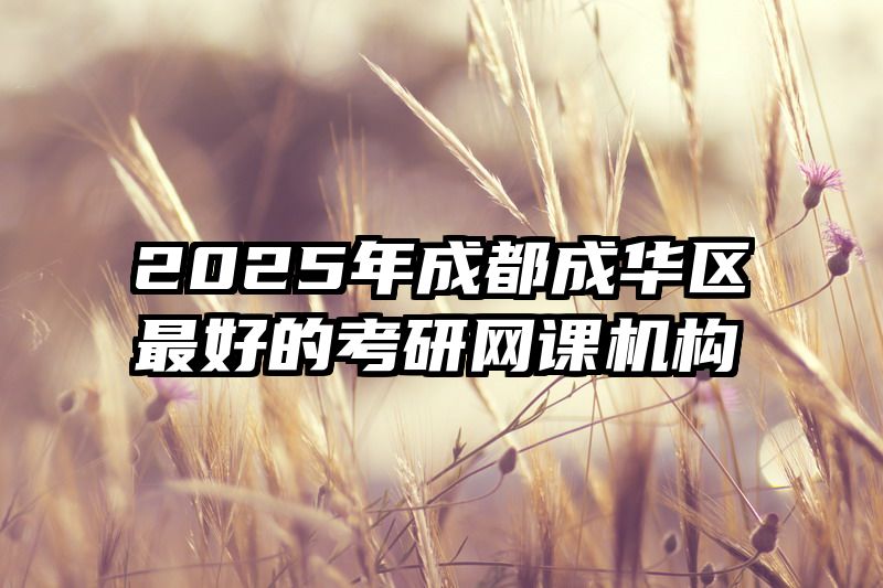 2025年成都成华区最好的考研网课机构