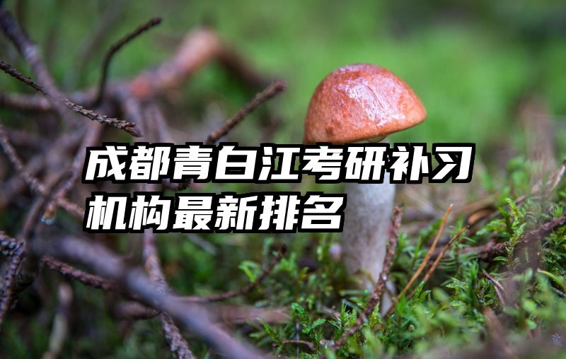 成都青白江考研补习机构最新排名
