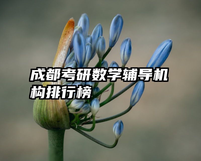 成都考研数学辅导机构排行榜
