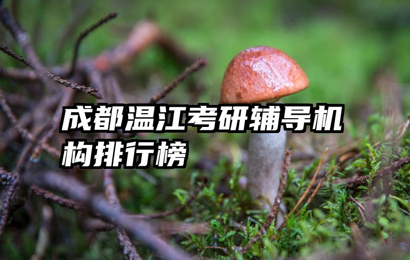 成都温江考研辅导机构排行榜