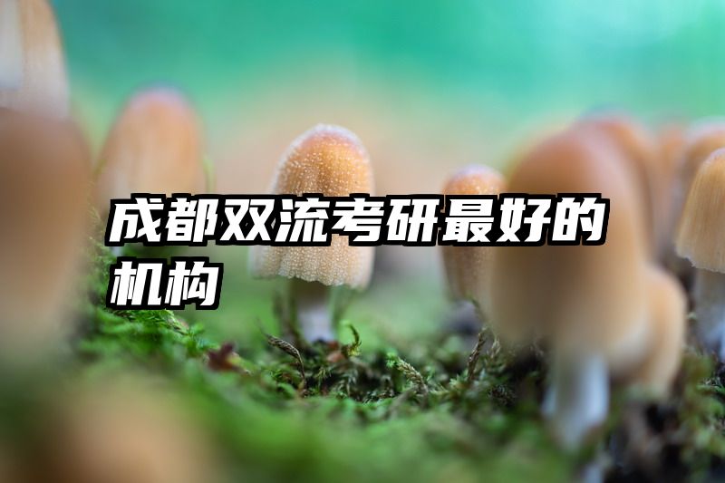 成都双流考研最好的机构