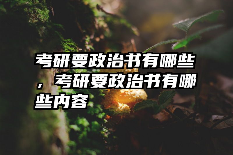 考研要政治书有哪些，考研要政治书有哪些内容