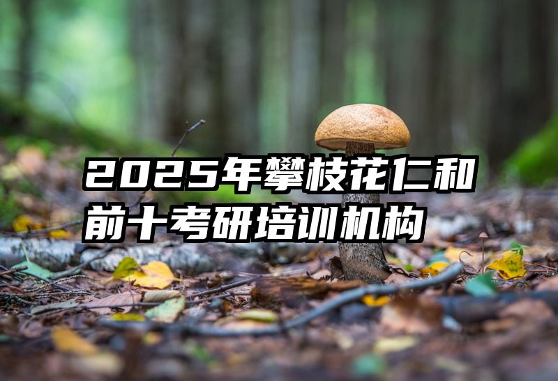 2025年攀枝花仁和前十考研培训机构