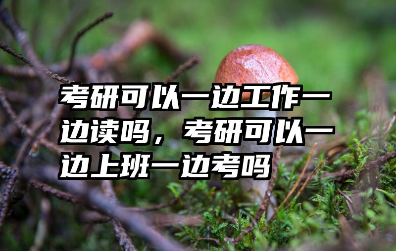 考研可以一边工作一边读吗，考研可以一边上班一边考吗