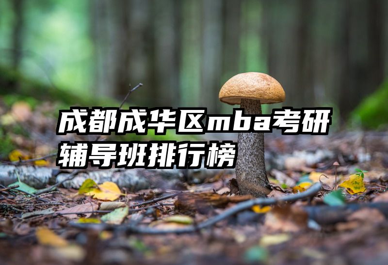 成都成华区mba考研辅导班排行榜