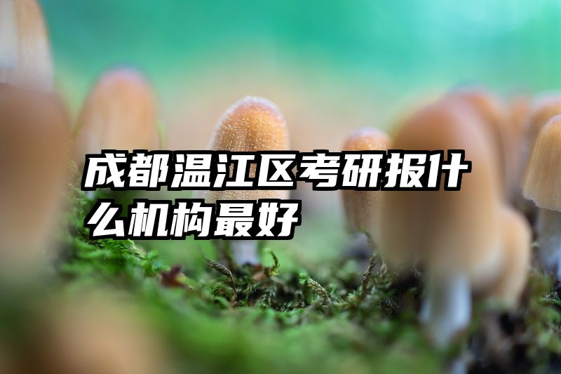 成都温江区考研报什么机构最好