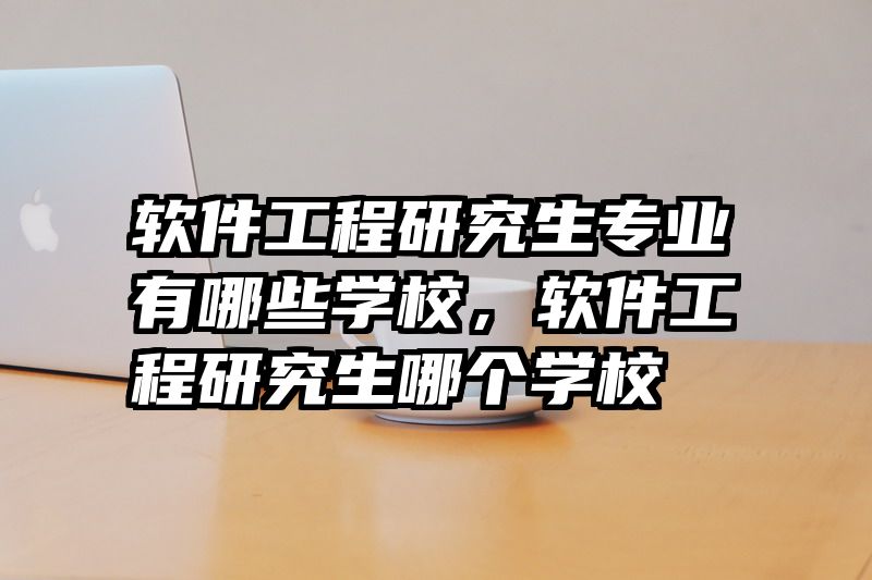 软件工程研究生专业有哪些学校，软件工程研究生哪个学校