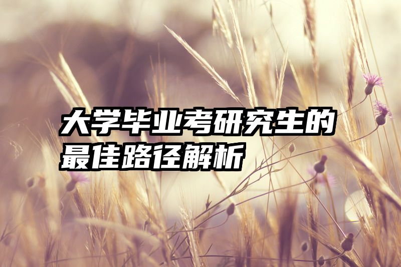 大学毕业考研究生的最佳路径解析