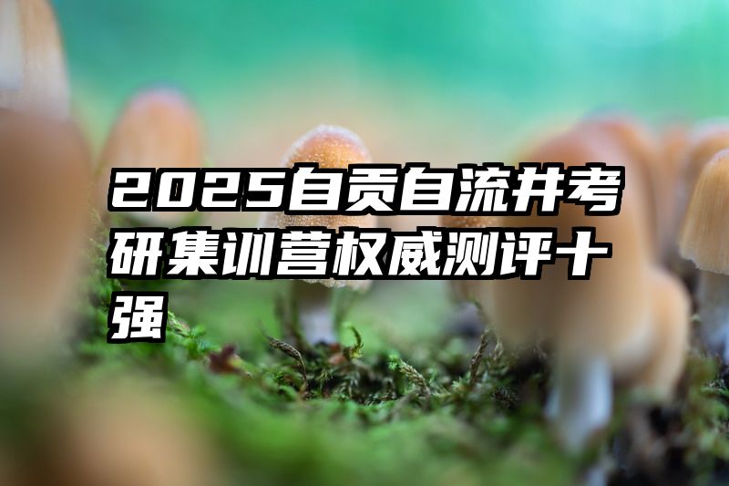 2025自贡自流井考研集训营权威测评十强