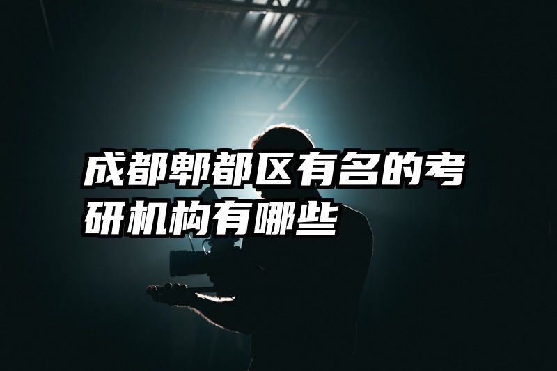 成都郫都区有名的考研机构有哪些