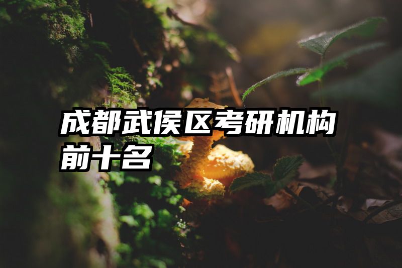 成都武侯区考研机构前十名
